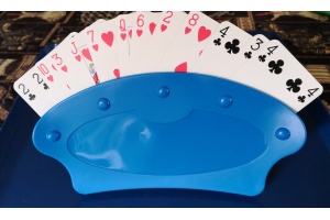 cardholder-blue