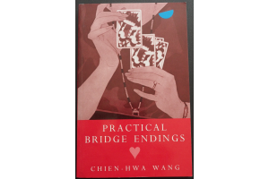 wang-practical-bridge-endings